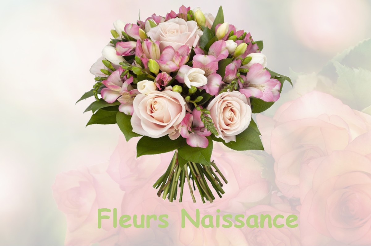 fleurs naissance GOURNAY-SUR-ARONDE